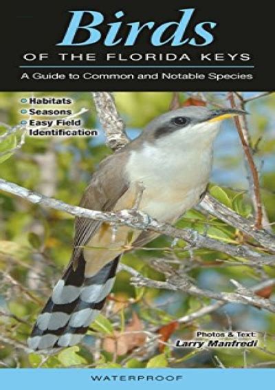 birds of southeast florida a guide to common and notable species Kindle Editon